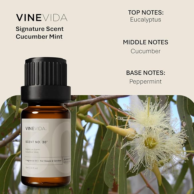 VINEVIDA [0.33oz] Cucumber Mint Fragrance Oil for Candle Making and Soap Making - Premium Candle Scents for Soy Candles