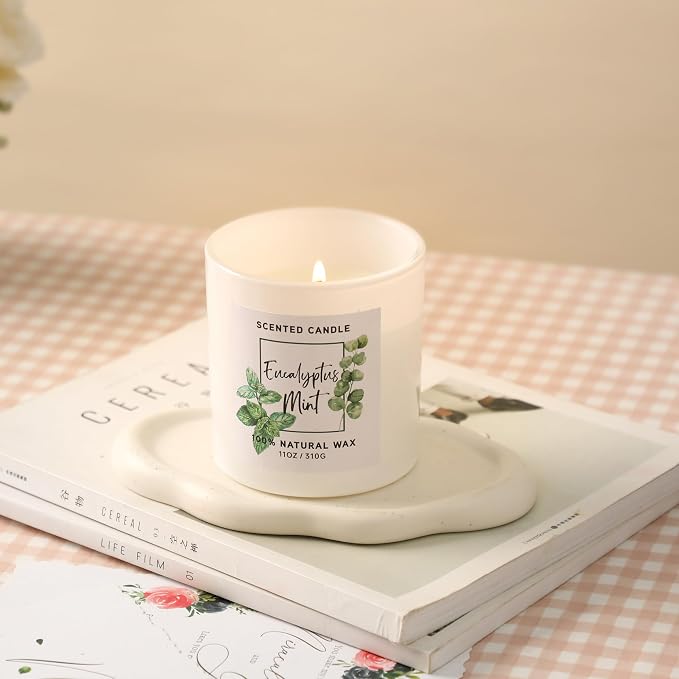 Eucalyptus & Mint Scented Candle,White Candles for Home Scented,Aromatherapy Candle,Stress Relief Candle,Christmas Gift for Women Men,Natural Soy Wax Candle,11oz