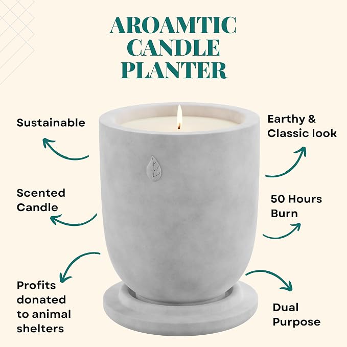 Concrete Cement Candle Planter - Aromatherapy Candles for Home Scented, Soy Candles - Scented Candle & Dual Purpose Jar Candles, Strong Scented Candles - 8 Oz, 50-Hour Burn