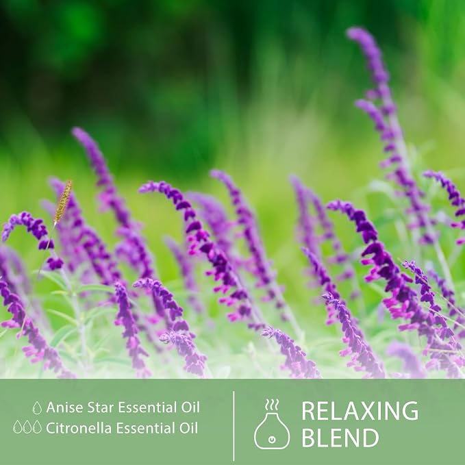 Clary Sage Essential Oil, 1.01Fl.Oz (30ML) PHATOIL Pure Essential Oil Singles for Aromatherapy Diffusers, Humidifiers, Great for DIY Candle and Soap Making, Gift for Friend