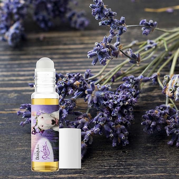 The Blissful Dog Bull Terrier Dog Relax Roll-ON Aromatherapy for Dogs - Anxiety Relief for Dogs