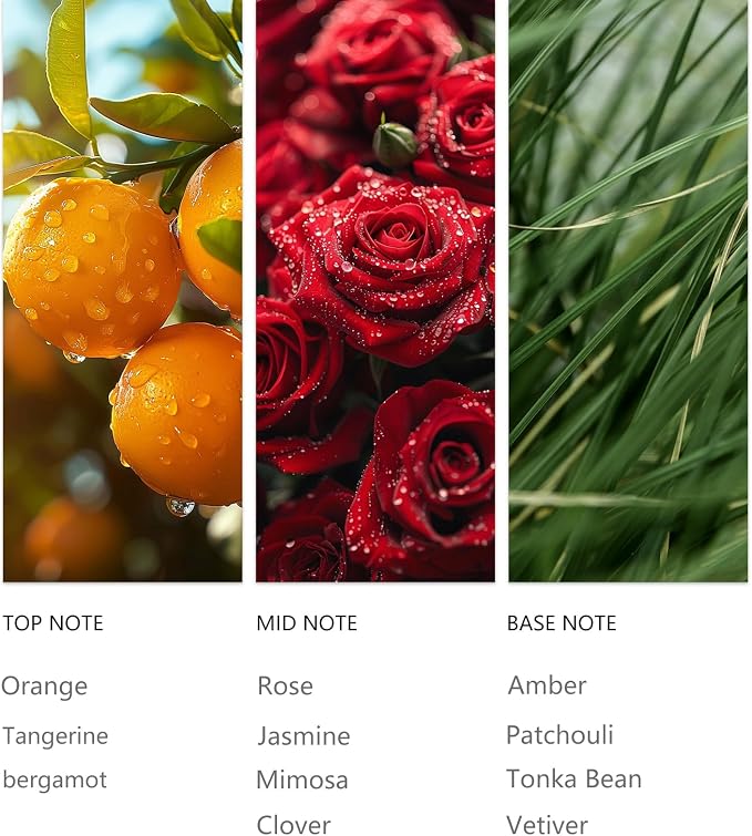 Waterless Essential Oil 20ML Patchouli Hotel Scent - Complex Citrus, Floral & Woody Fragrance for Home, Hotel, Car Aroma Scent Oils for Diffusers