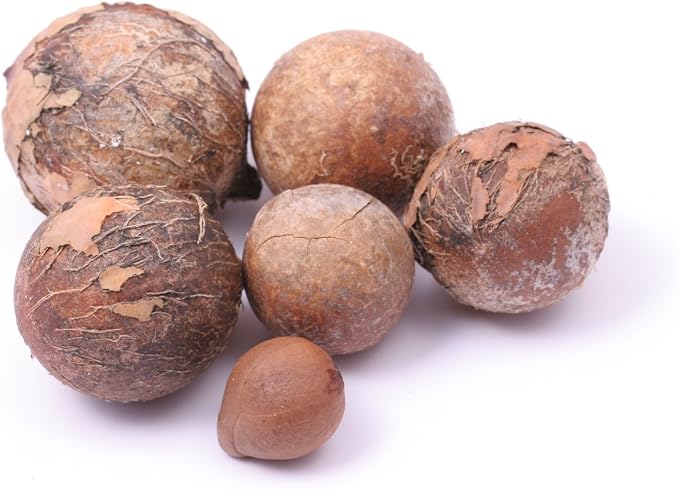 US Organic Tamanu Oil, USDA Certified Organic, 100% Pure Virgin Cold Pressed Unrefined, Dark Green Color, Sourced from Southeast Asia_Improved cap_2oz (56 ml)