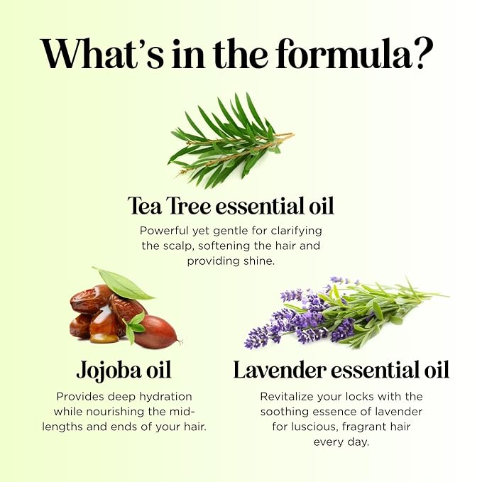 Tea Tree Conditioner for Dry Hair - Tea Tree Oil Conditioner for Oily Hair and Sulfate Free Conditioner for Dry Hair - Cleansing Conditioner and Tea Tree Dry Scalp Care with Tea Tree Oil for Hair