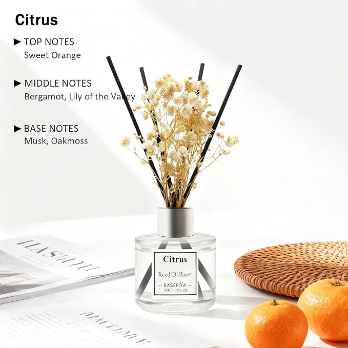 Reed Diffuser Set of 3 Pack,Clean Linen,Vanilla,Citrus Scented Oil Diffuser with 12 Sticks,Reed Diffuser for Home Living Room Office Bathroom Air Freshener,50ml x 3