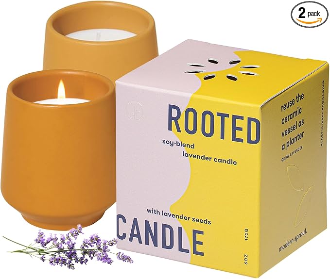 Modern Sprout Soy Candle Planter - Grows Lavender -Cedarwood Scent - 2-Pack | 2 in 1 Soy Candle - 6 oz w/42-hr burn each - cedarwood scent - ceramic vessel reuses as a planter for non-GMO lavender seeds
