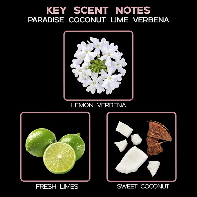 Reed Diffuser Set, Paradise Coconut Lime Verbena Scented Oil Diffuser with Sticks, Home Fragrance Accessories for Bathroom Shelf Decor, Aroma Diffusers for Home or Office Desk, USA Made