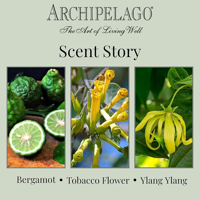 Archipelago Botanicals Havana Glass Jar Candle, Bergamot, Tobacco Flower and Ylang Ylang Scent, Lead-Free Candle Wicks, Burns Approx. 60 Hours (8.6 oz) (Pack of 2)