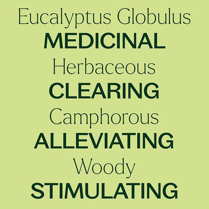 Plant Therapy Eucalyptus Pre-Diluted Essential Oil Roll-On 10mL (1/3 oz), 100% Pure, for Clear Breathing, Aromatherapy and Topical Use (Pack of 2)