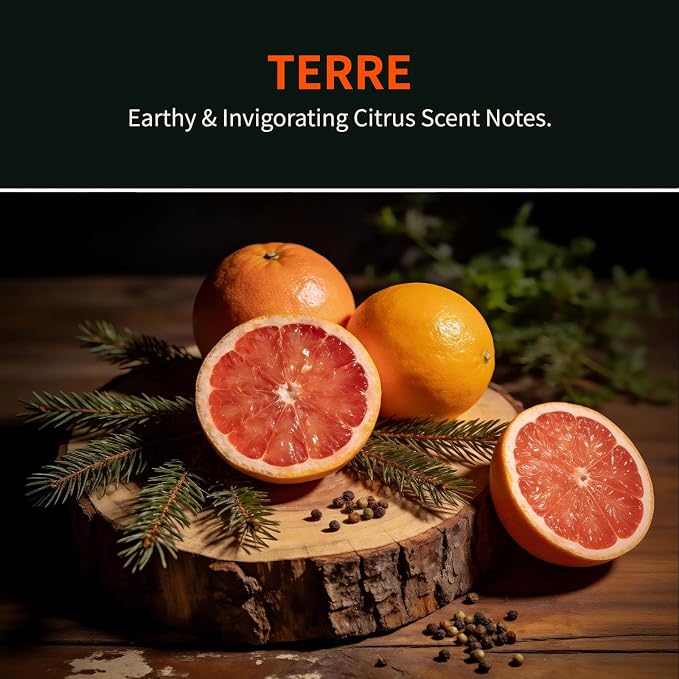 Car Air Freshener Hanging 2 Pack, Woody Citrus Scent Essential Oil Diffuser Long Lasting Up to 150 Days, Cute Car Accessories with 2 Vent Clip for Women Men Gift, Odor Eliminator