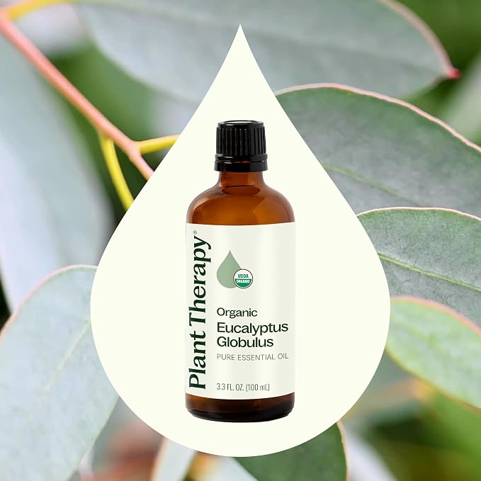 Plant Therapy Organic Eucalyptus Globulus Essential Oils 100 mL (3.3 oz), 100% Pure, USDA Certified Organic, Undiluted, Natural Aromatherapy for Respiratory Support & Focus