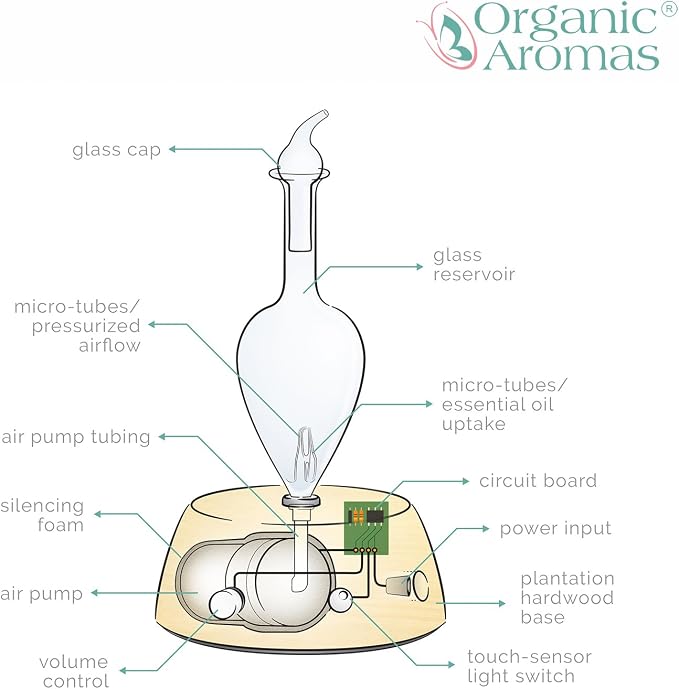 Super Explorer Aromatherapy Kit by Organic Aromas - 1 Elegance Essential Oil Diffuser and 12 100% Pure Essential Oils in 10ml Bottles - Handsome Wooden Storage Box