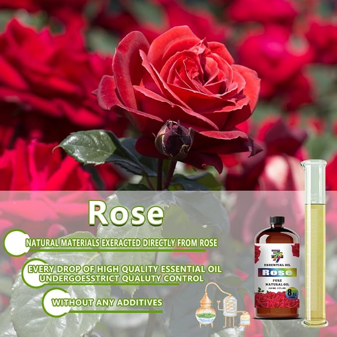 Rose Essential Oil, Rose Oils, 8 fl oz, for Diffuser, Humidifier, DIY Candles, Soap, Bath, Bedroom, Gift, Rose Fragrance Oil, GV77ZF Essential Oils