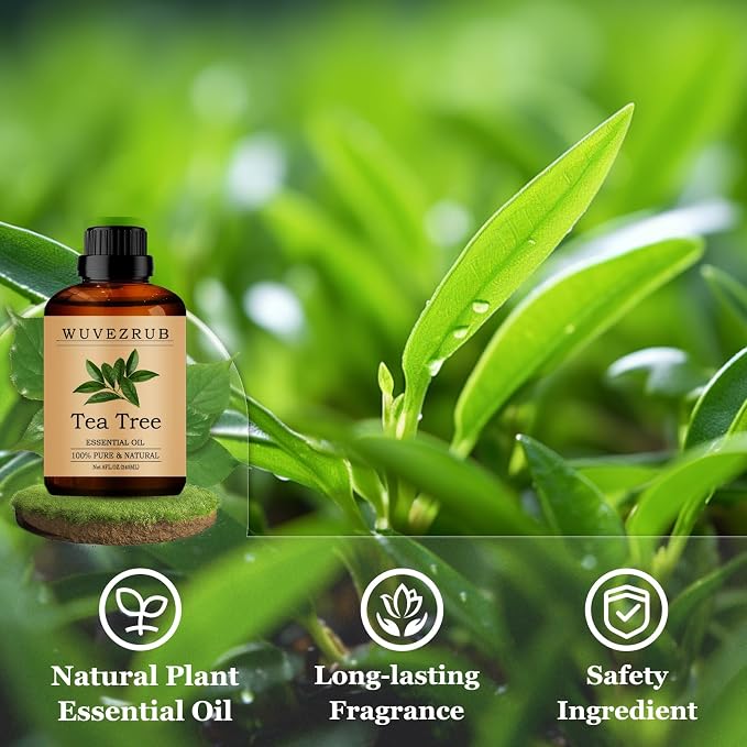 Tea Tree Essential Oils 240ML, Pure Tea Tree Essential Oil for Aromatherapy Diffuser - 8 Fl Oz
