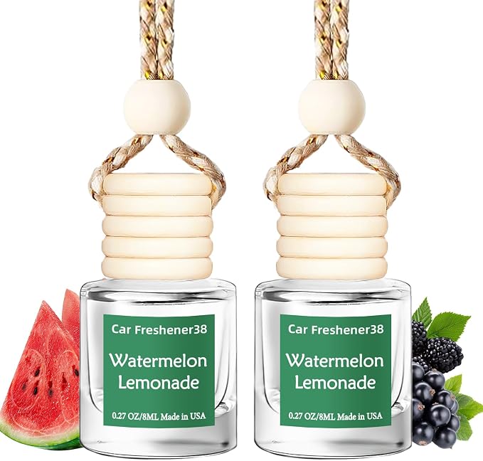 Hanging Car Air Freshener, Long Lasting Essential Oil Diffuser, Non-Toxic New Car Scent, Cute Car Fresheners for Women, 2 Pack Made in USA