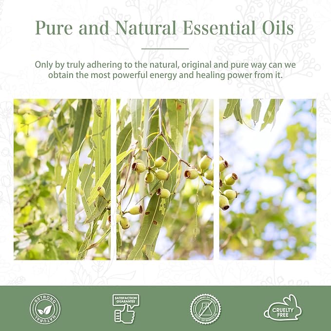 Lemon Eucalyptus 3.38fl.oz Essential Oil, PHATOIL Pure Aromatherapy Oils for Diffuser, Humidifier, Perfect for DIY Soap, Candle, Bath Bombs Making(100ml)