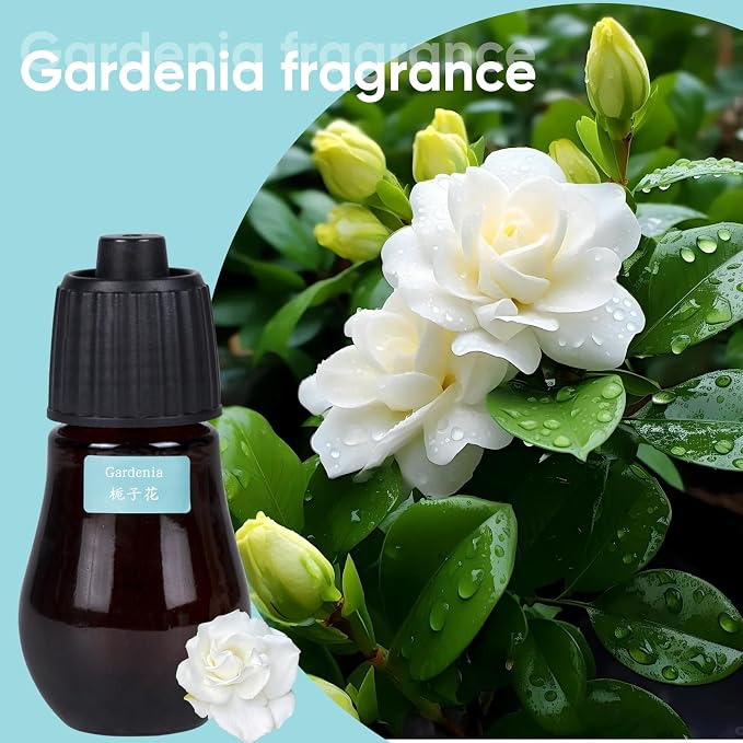 Aromatherapy Essential Oil Set - 3-Piece Essential Oil Set in Three Flavors: Sandalwood, Gardenia, Clove Flower