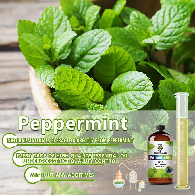 Peppermint Essential Oil, Peppermint Oils, for Diffuser, DIY Candles, Soap, Humidifier, Cleaning, Office, Gift, Essential Oil, GV77ZF Peppermint Fragrance Oil - 8 fl oz (240 ml)