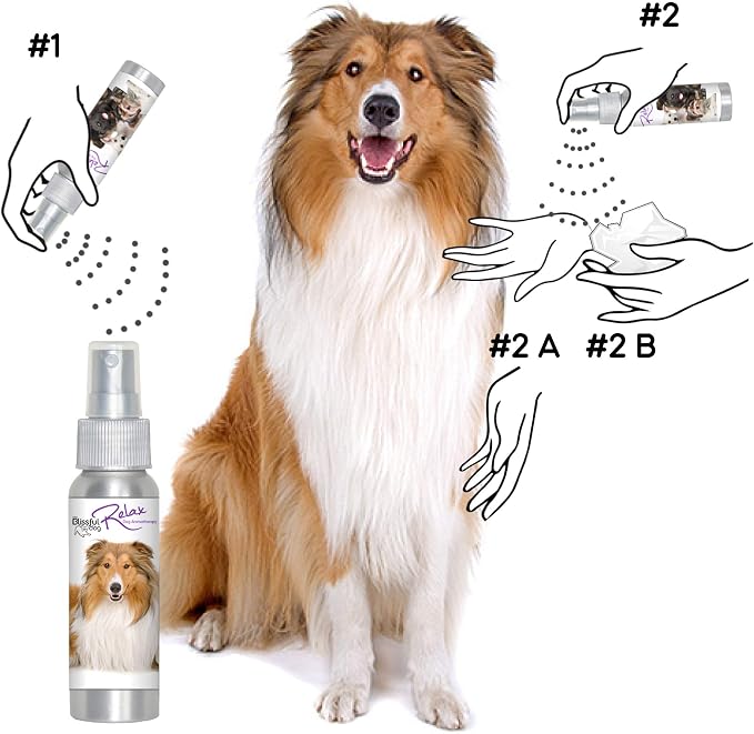 The Blissful Dog Collie Relax Dog Aromatherapy Spray for Your Dog's Anxiety