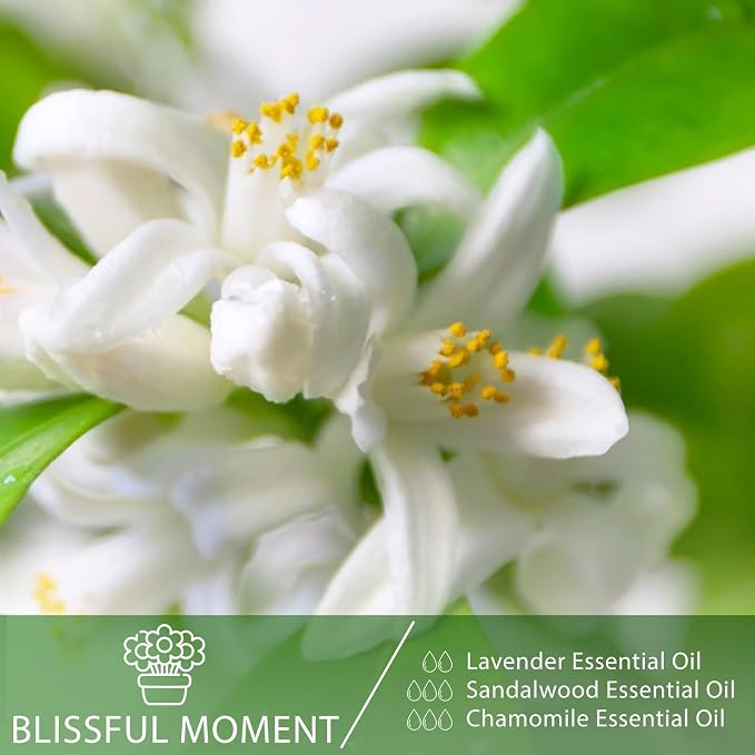 Neroli 1.01fl.oz Essential Oil, PHATOIL Pure Aromatherapy Oils for Diffuser, Humidifier, Perfect for DIY Soap, Candle, Bath Bombs Making(30ml)