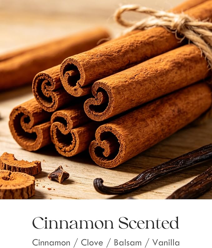 AOOVOO Cinnamon Odor Eliminating Highly Fragranced Candle - Eliminates 95% of Pet, Smoke, Food, and Other Smells Quickly, Non Toxic Air Freshing Soy Candle, 9 oz Up to 50 Hours Burn time