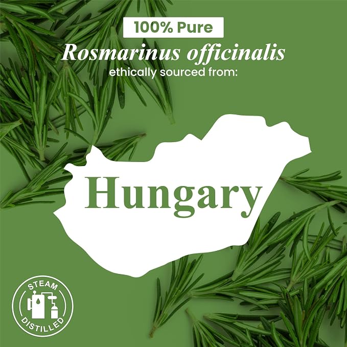 Handcraft Blends Fresh Focus Set: Rosemary and Grapefruit Essential Oils – (2 x 4 Fl Oz) – 100% Pure & Natural – for Diffuser, Aromatherapy, and DIY Projects