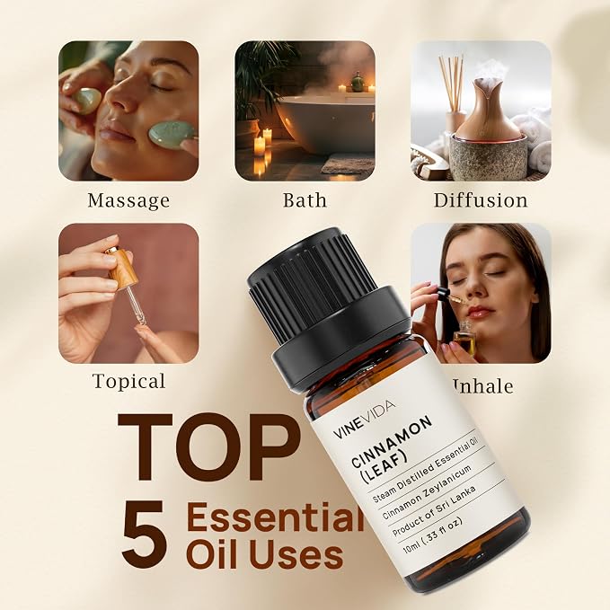 VINEVIDA Cinnamon Leaf Essential Oil 10 mL - Undiluted, Pure, Vegan, Reusable Glass Bottle with Euro Dropper