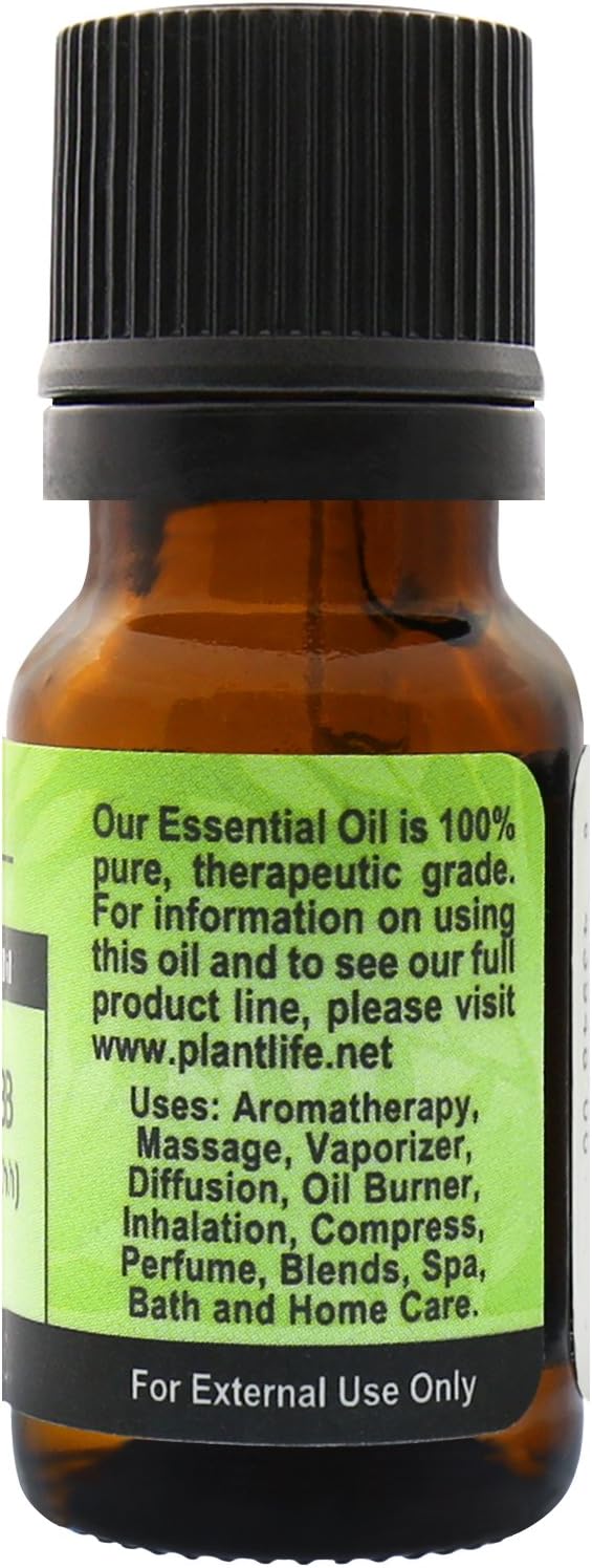 Plantlife Parsley Herb Aromatherapy Essential Oil - Straight from The Plant 100% Pure Therapeutic Grade - No Additives or Fillers - 10 ml