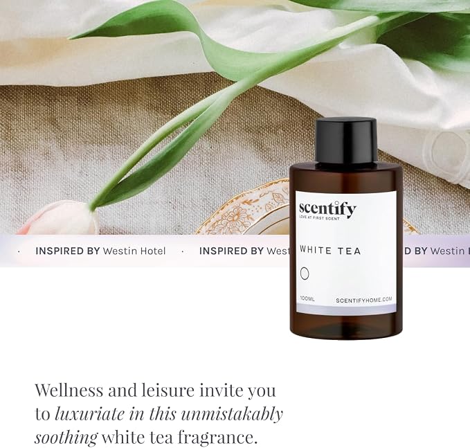 Scentify White Tea Aroma Oil Refill for Diffusers – Citrus, White Tea & Soft Florals, Amber Woods & Palo Santo – Luxury Aromatherapy Fragrance – 100ml / 3.38oz
