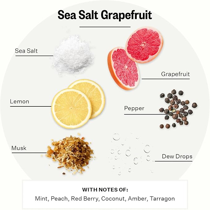 Apotheke Signature Scented Candles for Home, Sea Salt Grapefruit - 10.5 oz - Soy Wax, Non Toxic, Large Jar White - Luxury Candle Gifts for Women & Men - Pepper, Dew Drops, and Tarragon