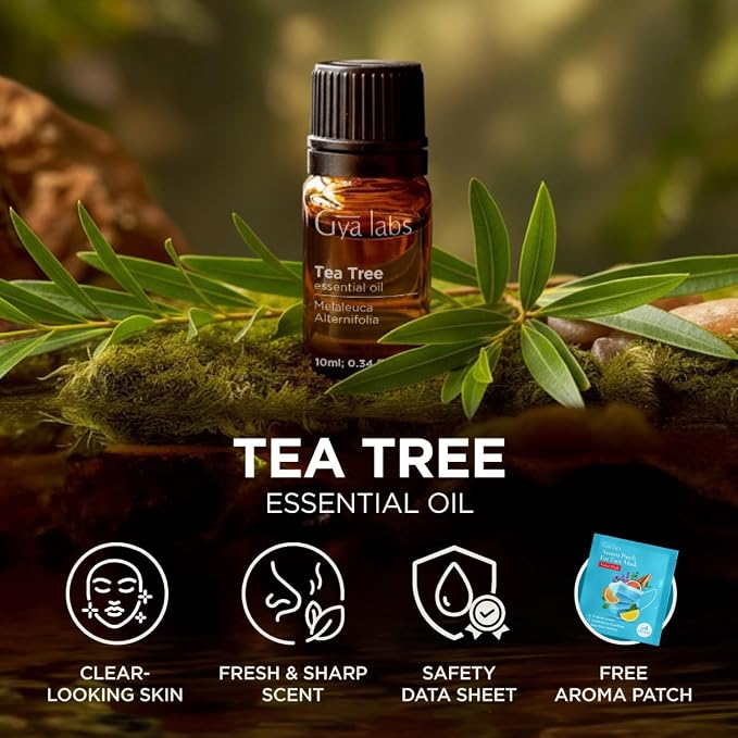 Gya Labs Australian Tea Tree Essential Oil - 0.34 Fl Oz - for Hair, Skin, Diffuser, Aromatherapy & DIY Candle Making Scent (Pack of 2)