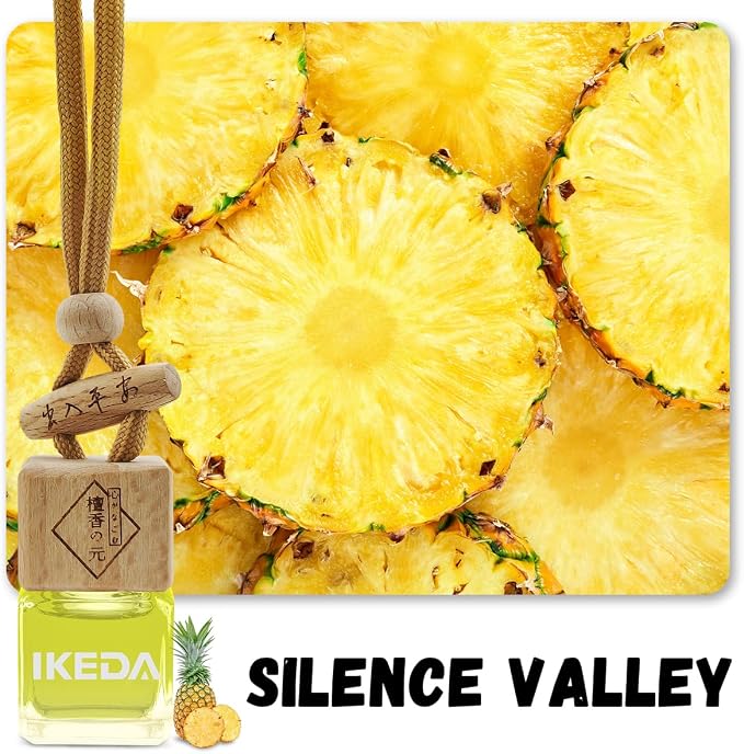 ikeda fragrance Car Air Freshener | Square Hanging Car Scent with Vent Clip Bottle | Long Lasting Fragrance | Essential Oil Diffuser | Odor Eliminator Deodorizer (Square-Pineapple)