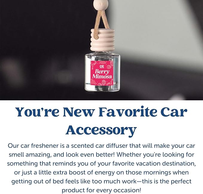 CE Craft Hanging Car Air Freshener – Fragrance Oil Diffuser with Essential Oils – Long-Lasting Aromatherapy Scents for Automobiles – 4 Pack