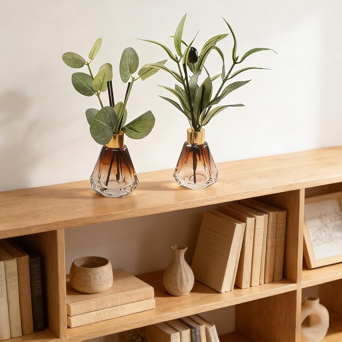Empty Reed Diffuser Glass Bottle Set, Scent Diffuser Empty Bottle with Sticks Eucalyptus, Fragrance Aromatherapy Essential Oil DIY Jar for Home Shelf Bedroom Bathroom Office Decor