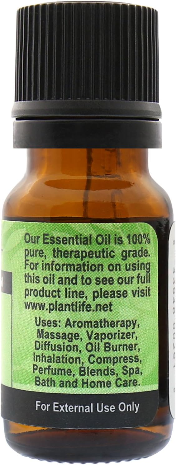 Plantlife Fir Needle Aromatherapy Essential Oil - Straight from The Plant 100% Pure Therapeutic Grade - No Additives or Fillers - 10 ml