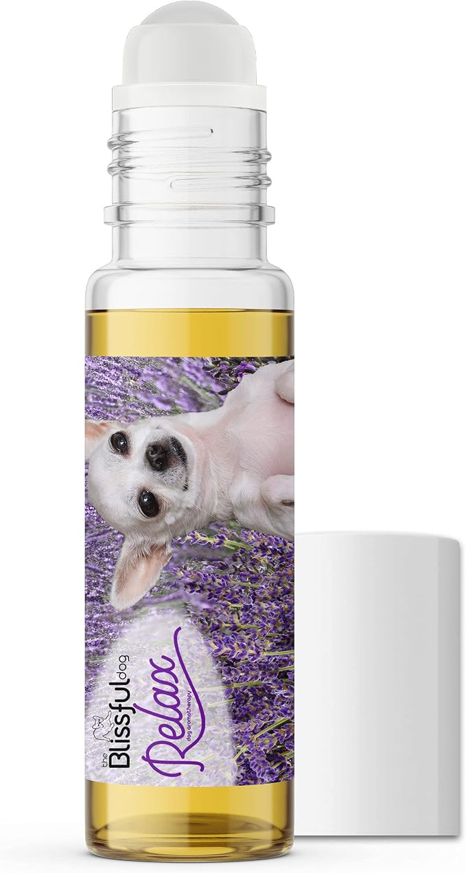 The Blissful Dog Chihuahua Relax Roll-ON Aromatherapy for Dogs - Anxiety Relief for Dogs