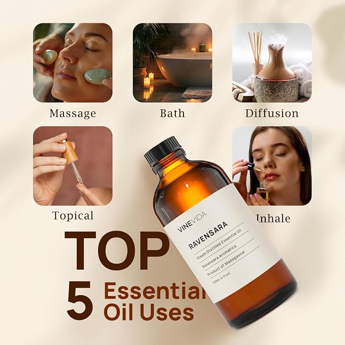 VINEVIDA Ravensara Essential Oil 4 oz - Undiluted, Pure, Vegan, and Sustainable