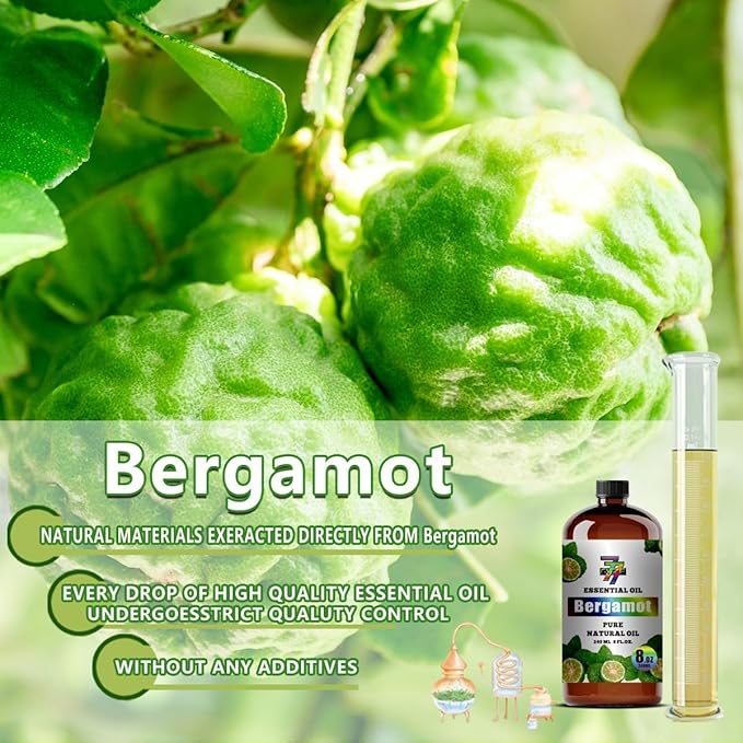 Bergamot Essential Oil, Bergamot Oils, for Diffuser, Humidifier, DIY Candles, Soap, Home, Office, Gift, Essential Oil, GV77ZF Bergamot Fragrance Oil - 8 fl oz (240 ml)