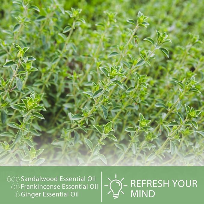 Thyme Essential Oil, 1.01Fl.Oz (30ML) PHATOIL Pure Essential Oil Singles for Aromatherapy Diffusers, Humidifiers, Great for DIY Candle and Soap Making, Gift for Friend
