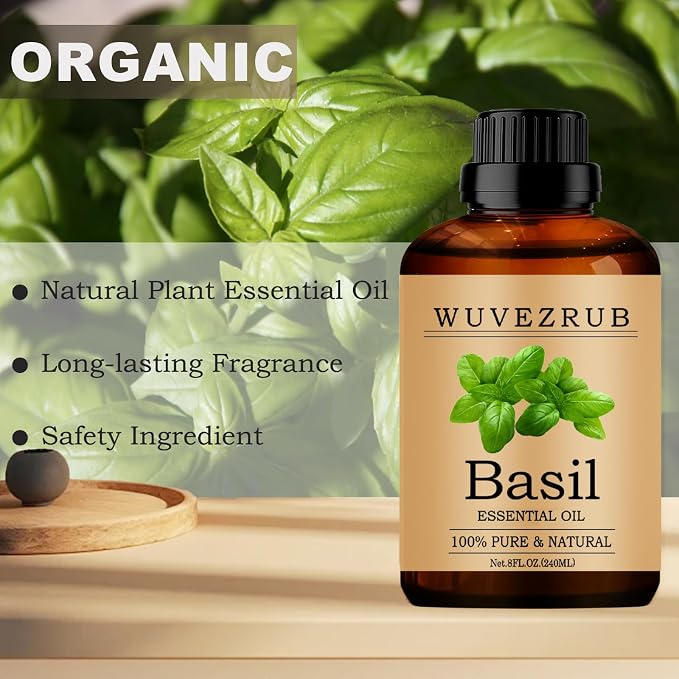Basil Essential Oils 240ML, 100% Pure and Natural Essential Oil for Aromatherapy Diffuser - 8 Fl Oz/Basil