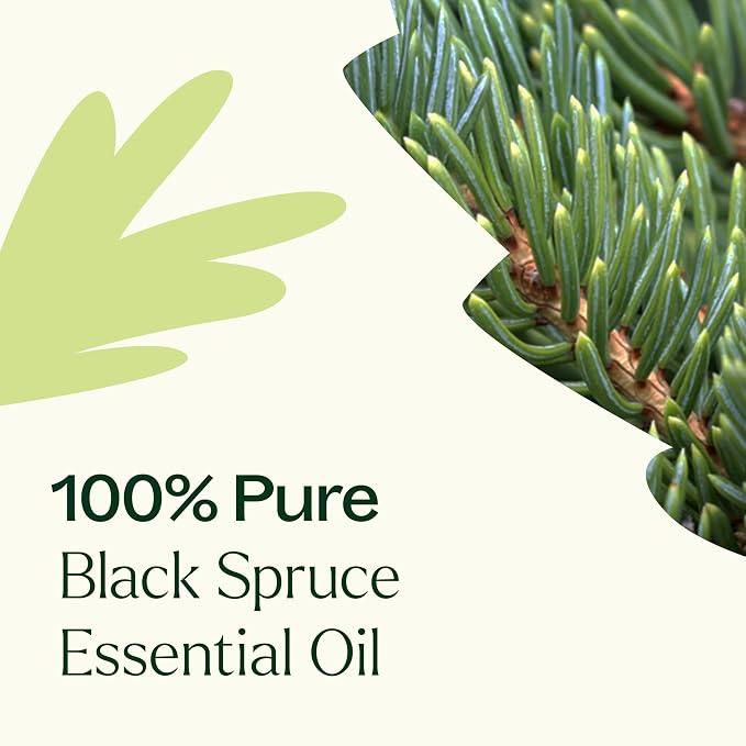Plant Therapy Black Spruce Essential Oil 30 mL (1 oz) 100% Pure, Undiluted, Aromatherapy, Respiratory Support, Sore Muscle Relief