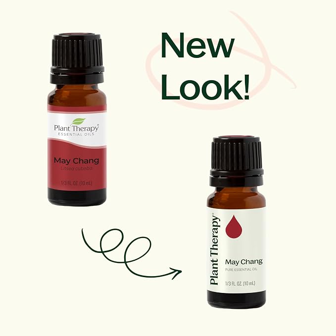 Plant Therapy May Chang Essential Oil 10 mL (1/3 oz) 100% Pure, Undiluted, Litsea Cubeba, Aromatherapy, Clear Skin, Energy, and Digestion Support