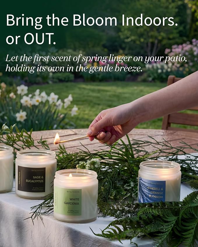 M&SENSE Eucalyptus Sage Scented Candle, 2-Wick, Natural Soy Wax, Non Toxic, 70-Hour Long Lasting Burn, 11.6oz, Spring Cleaning Candles, Fresh & Clean Scent for Home, Relaxation Gifts