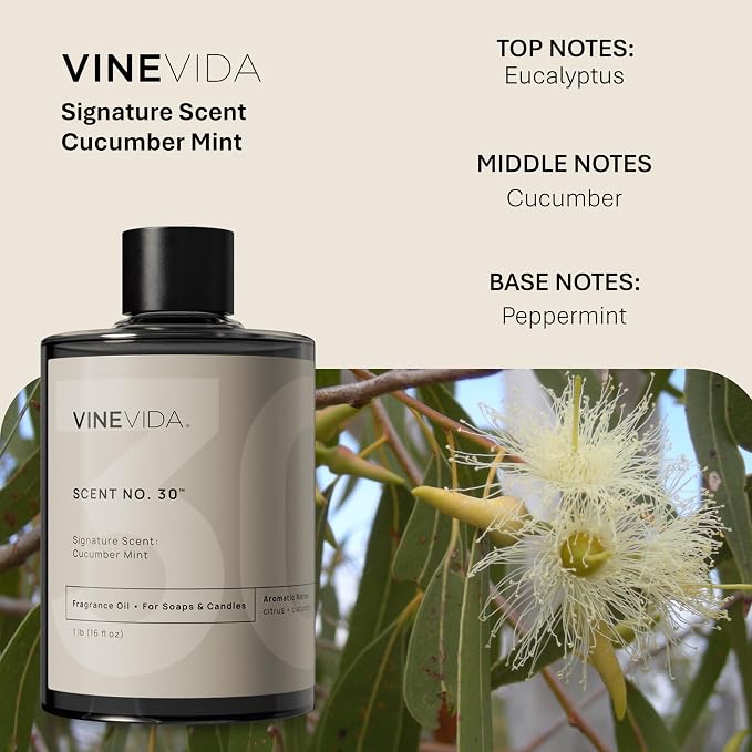 VINEVIDA Cucumber Mint Fragrance Oil [16oz] - USA Made Candle & Soap Scents
