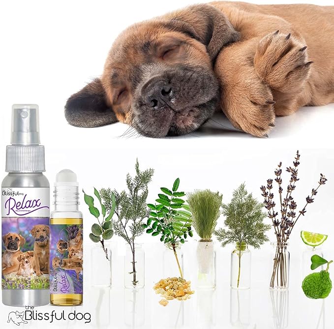 The Blissful Dog Three Cute Puppies Relax Dog Aromatherapy Spray for Your Dog's Anxiety