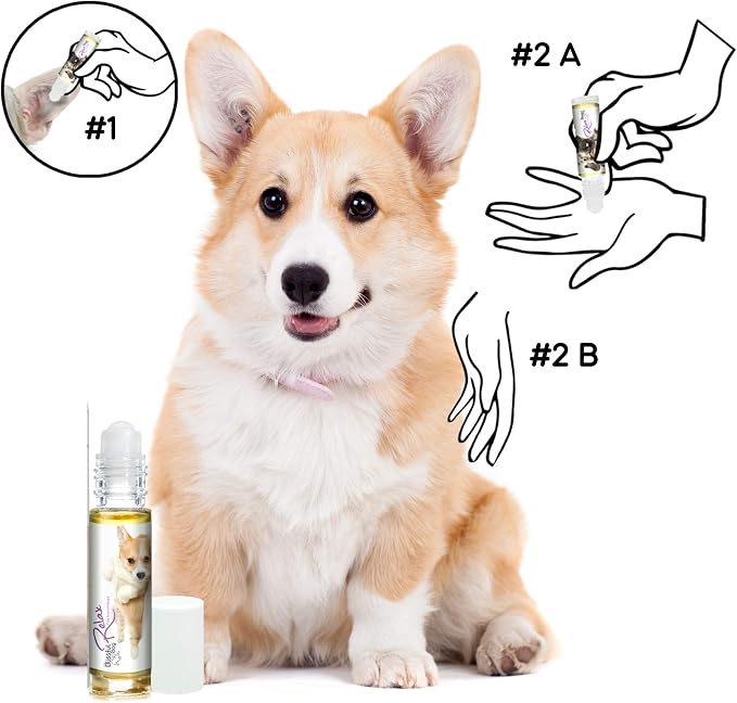 The Blissful Dog Corgi Relax Roll-ON Aromatherapy for Dogs - Anxiety Relief for Dogs