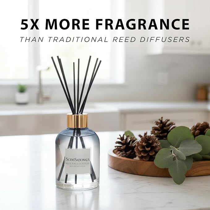 ScentSationals Water-Based Reed Diffuser - White Pine & Eucalyptus - 5 FL OZ Aromatherapy Reed Diffuser
