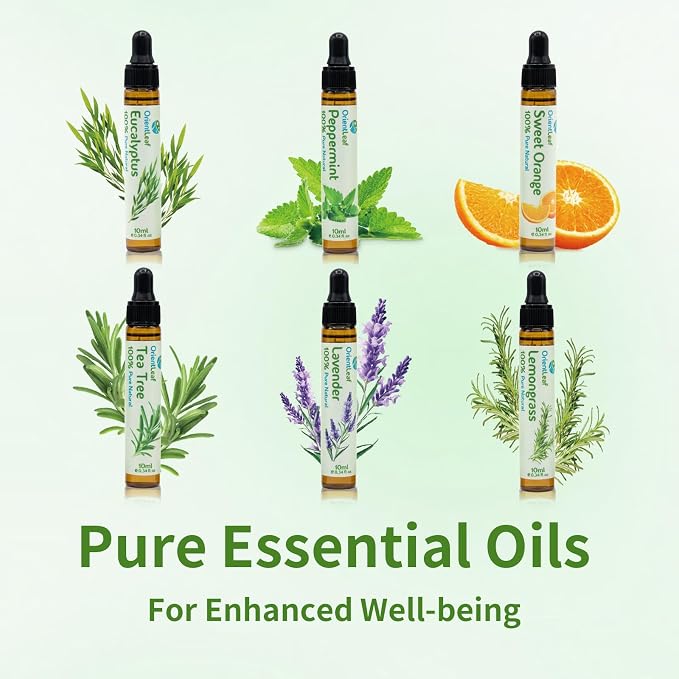 ORIENTLEAF Blended Essential Oils Set, Blends for Diffusers, Fragrance, Aromatherapy, Humidifiers, Peppermint, Tea Tree, Lavender, Eucalyptus, Orange, Citronella