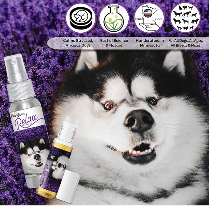 The Blissful Dog Malamute Relax Dog Aromatherapy Spray for Your Dog's Anxiety