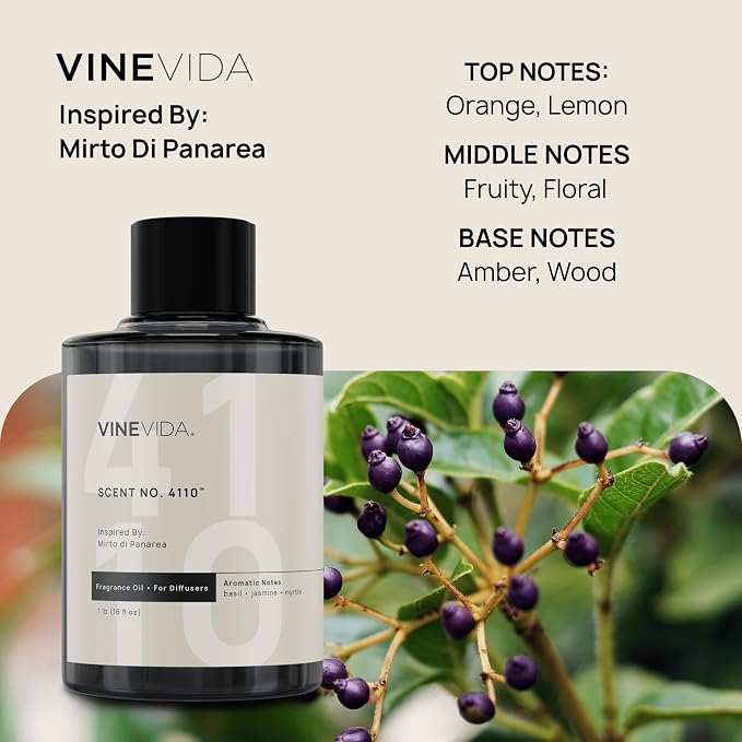 VINEVIDA [16 Oz] Inspired by: Mirto di Panarea; Diffuser Oil Refill | Premium Scent Diffuser Oil for Home | Non-Toxic Fragrance